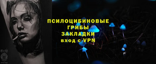 spice Алзамай
