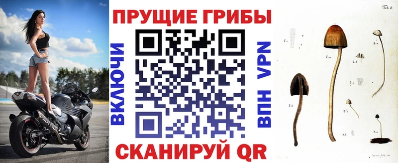 Псилоцибиновые грибы GOLDEN TEACHER  Суоярви 